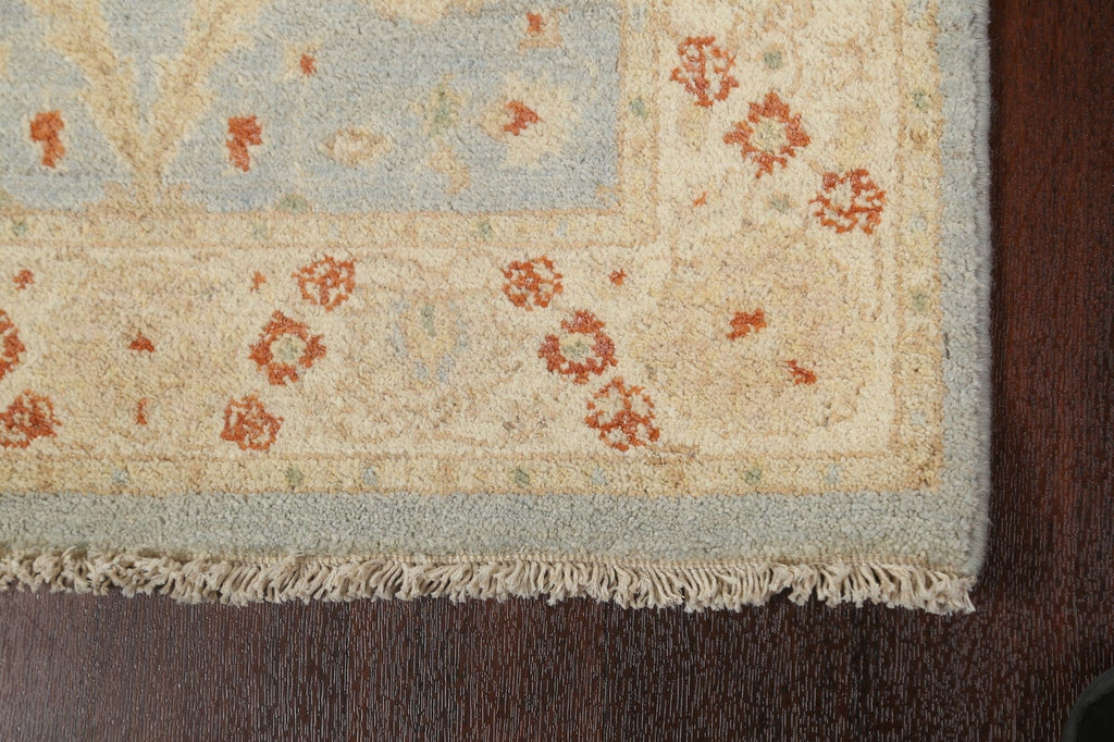 Vegetable Dye Peshawar Chobi Oriental Runner Rug 3x10