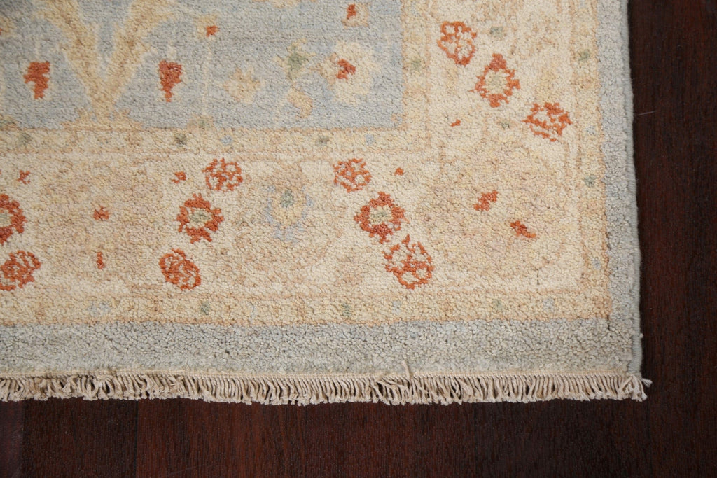 Vegetable Dye Peshawar Chobi Oriental Runner Rug 3x10