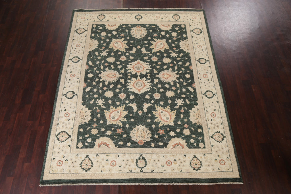 Vegetable Dye Peshawar Chobi Handmade Area Rug 8x10