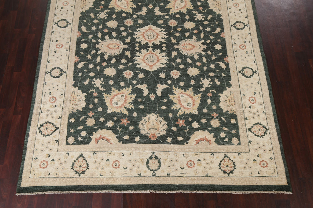 Vegetable Dye Peshawar Chobi Handmade Area Rug 8x10