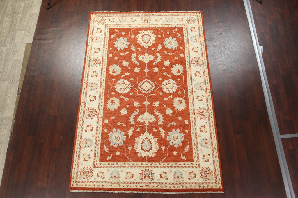 Vegetable Dye Peshawar Chobi Wool Area Rug 6x10