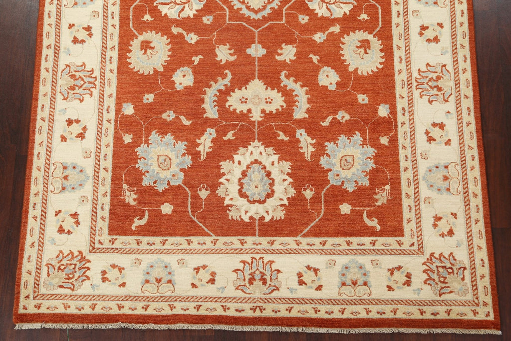 Vegetable Dye Peshawar Chobi Wool Area Rug 6x10