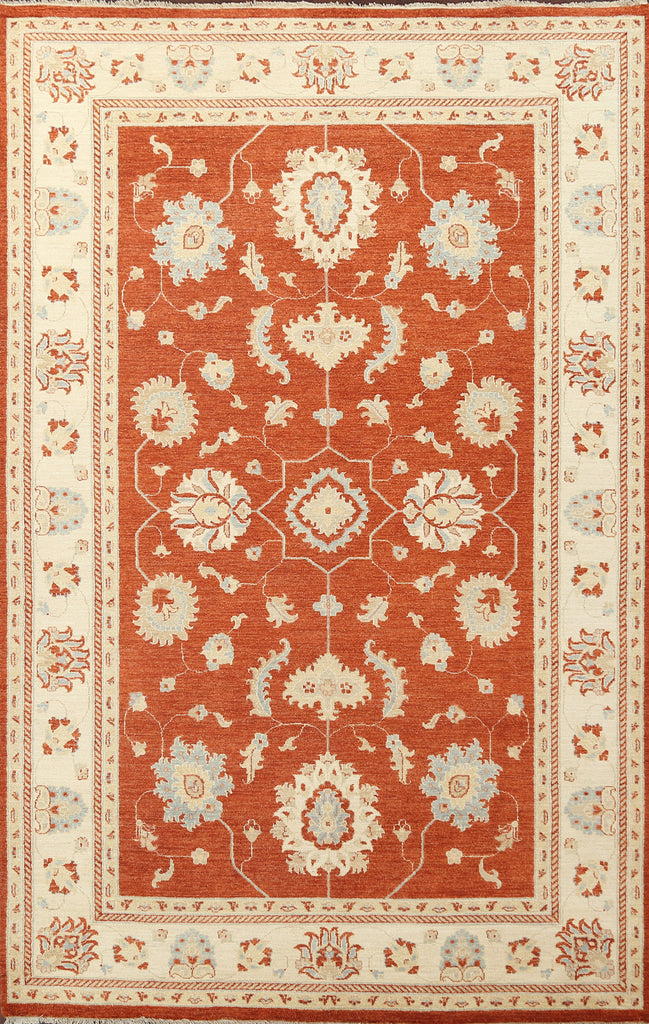 Vegetable Dye Peshawar Chobi Wool Area Rug 6x10