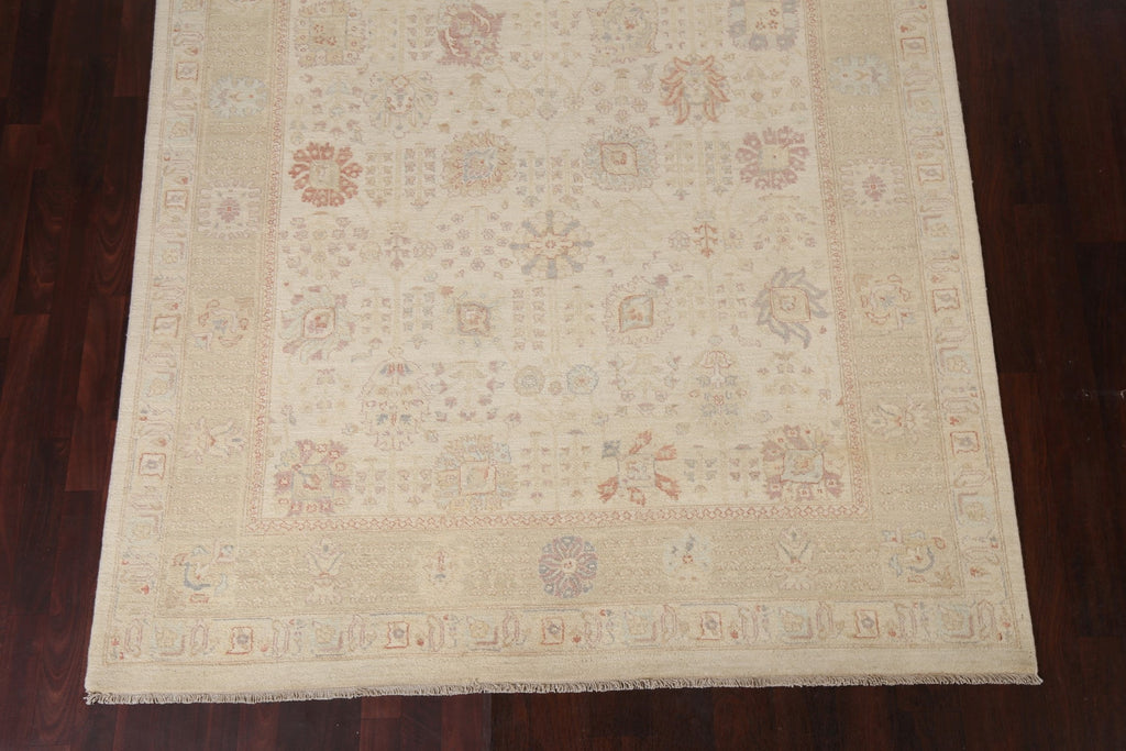 Vegetable Dye Peshawar Chobi Wool Area Rug 6x10