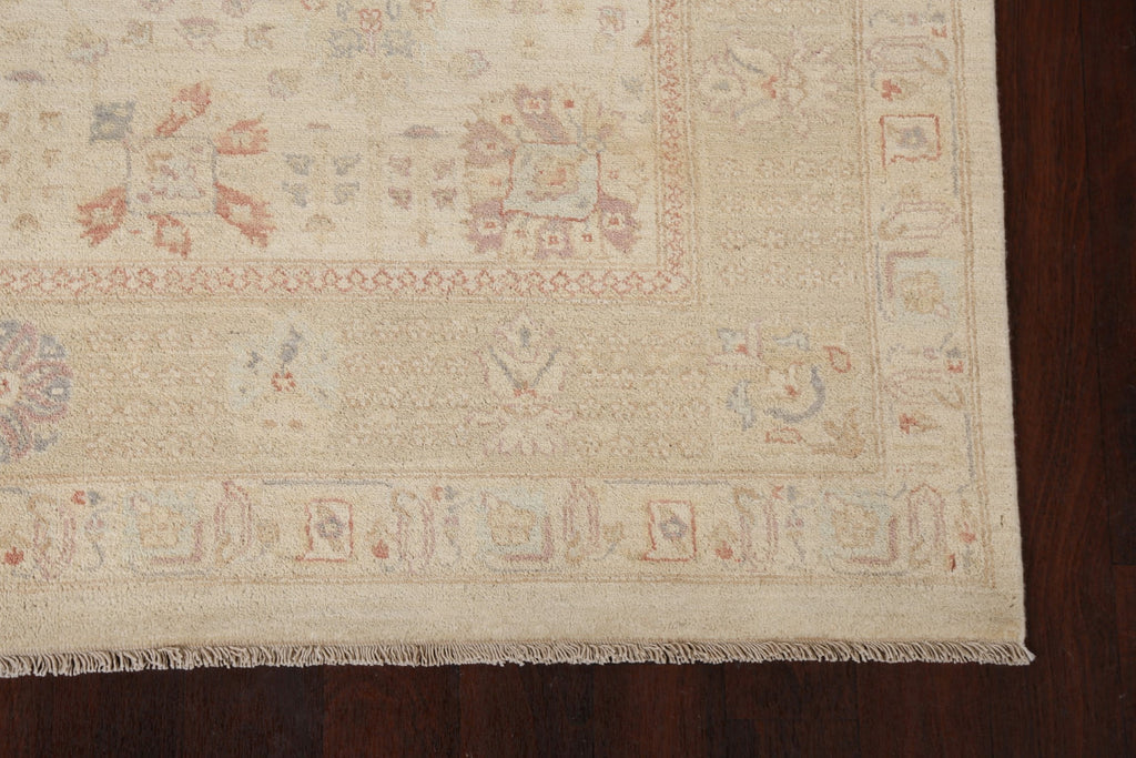 Vegetable Dye Peshawar Chobi Wool Area Rug 6x10