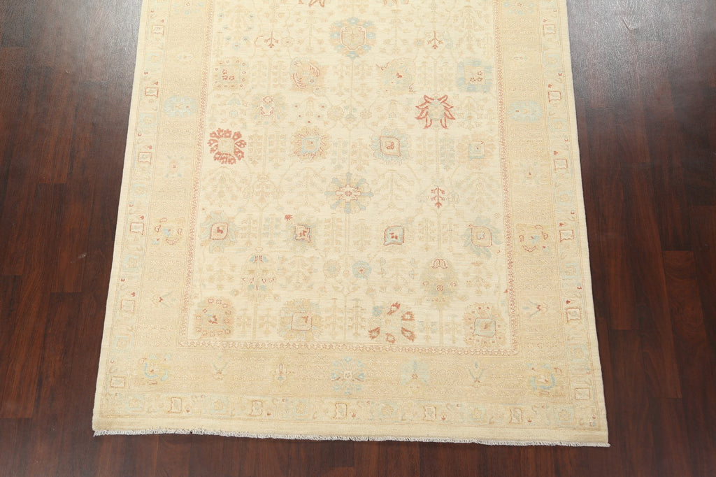 Vegetable Dye Peshawar Chobi Handmade Area Rug 6x10