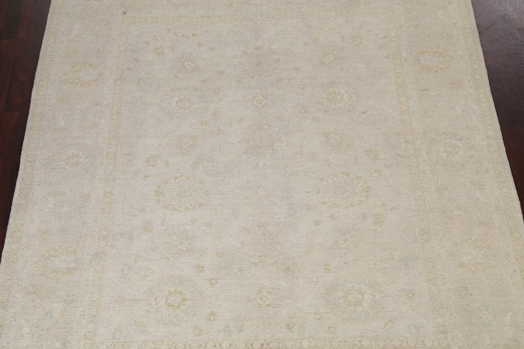 Vegetable Dye Peshawar Chobi Oriental Area Rug 8x9