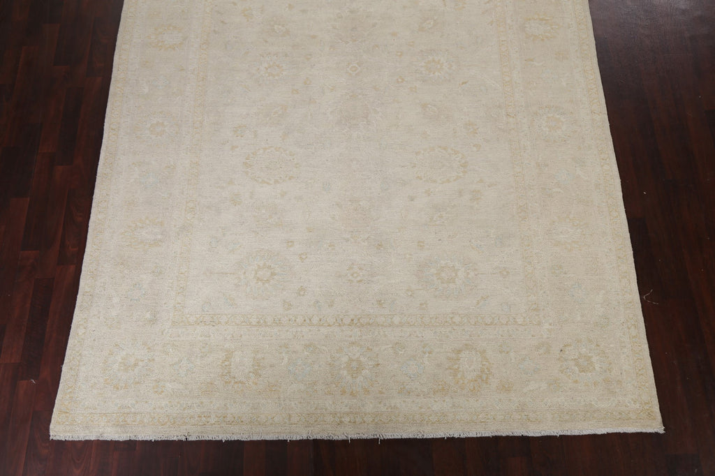 Vegetable Dye Peshawar Chobi Oriental Area Rug 8x9