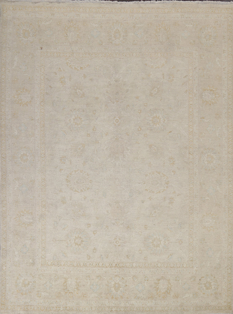 Vegetable Dye Peshawar Chobi Oriental Area Rug 8x9