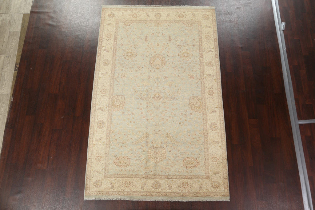 Vegetable Dye Peshawar Chobi Handmade Area Rug 6x9