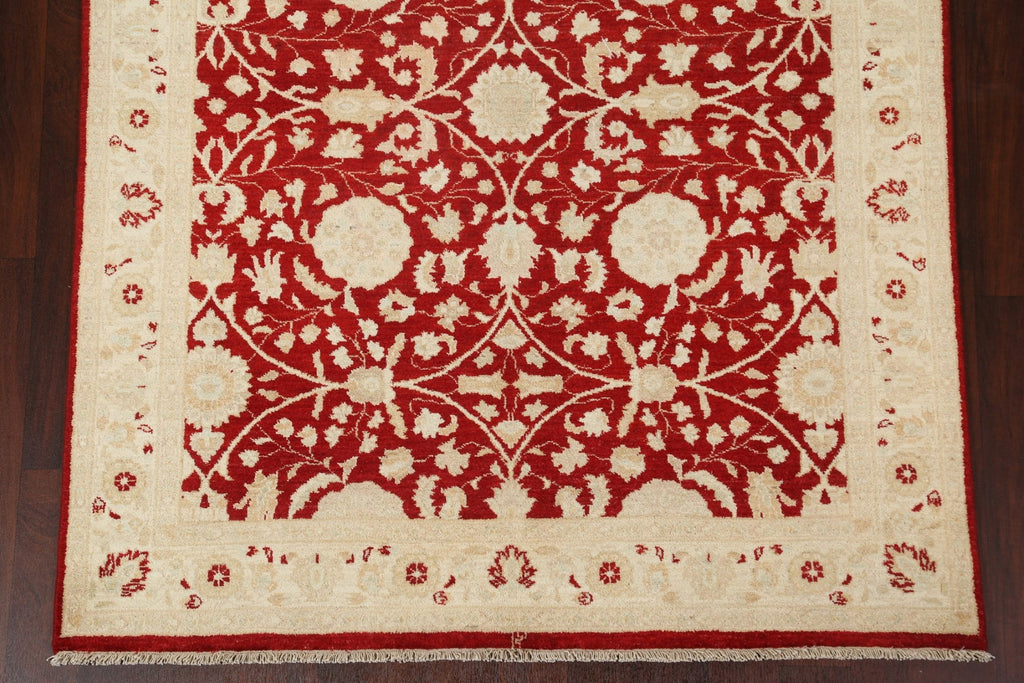 Vegetable Dye Peshawar Chobi Wool Area Rug 5x8