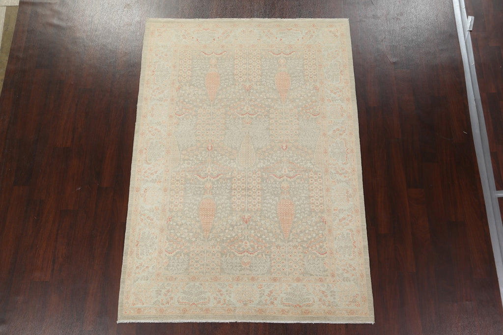 Vegetable Dye Peshawar Chobi Oriental Area Rug 6x8