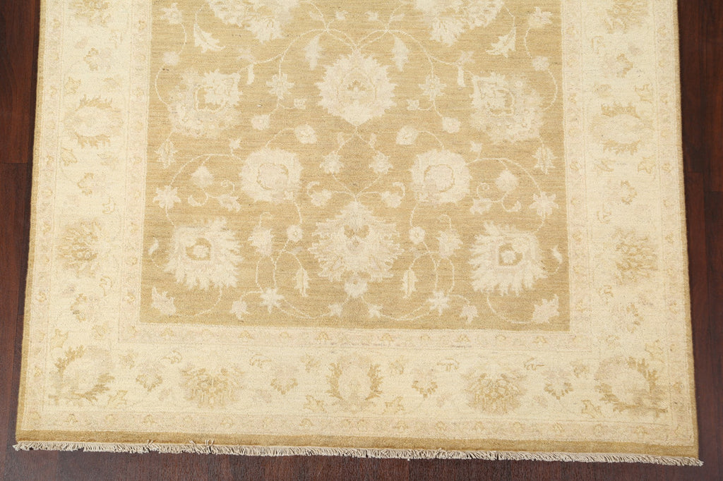 Vegetable Dye Peshawar Chobi Handmade Area Rug 6x8