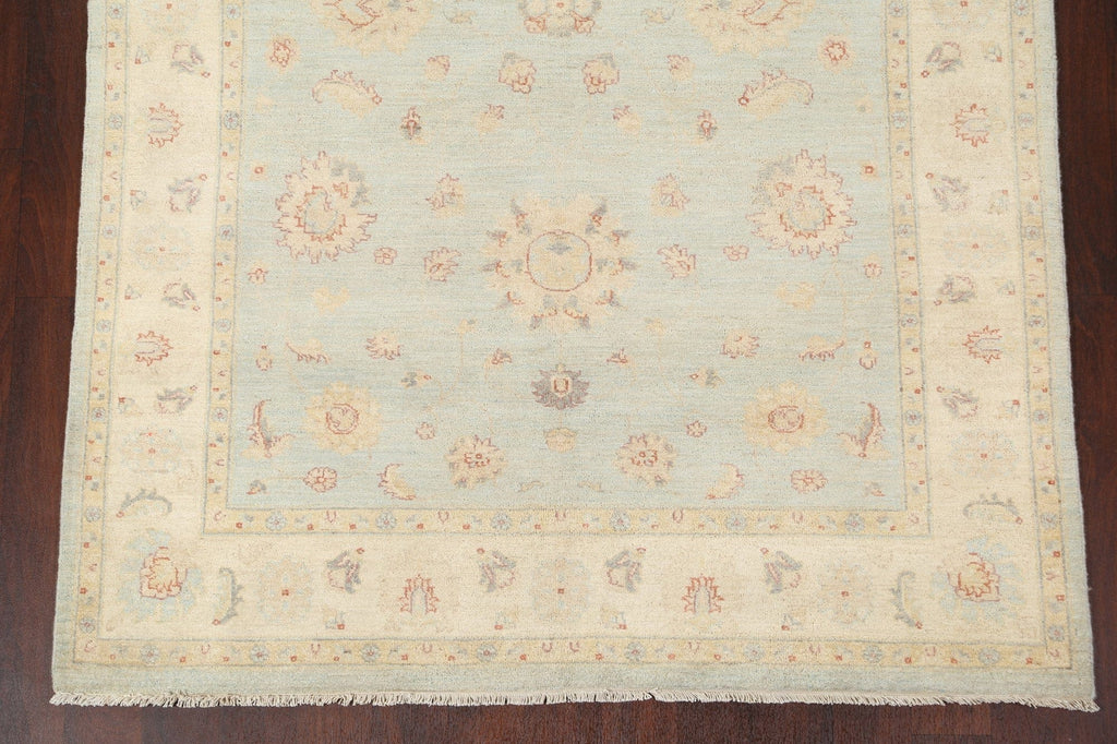 Vegetable Dye Peshawar Chobi Handmade Area Rug 6x8