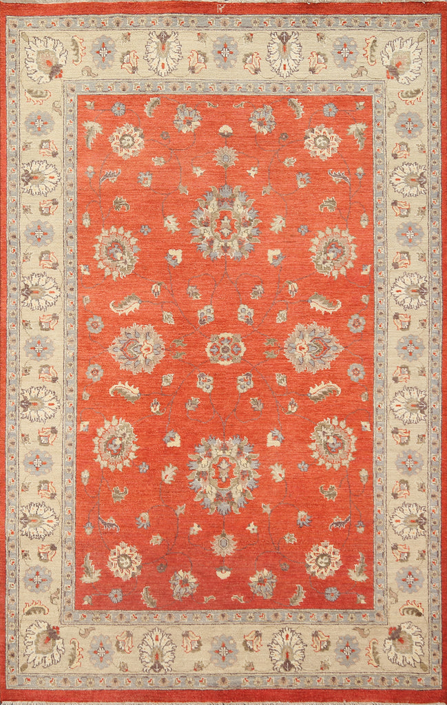 Vegetable Dye Peshawar Chobi Handmade Area Rug 6x8