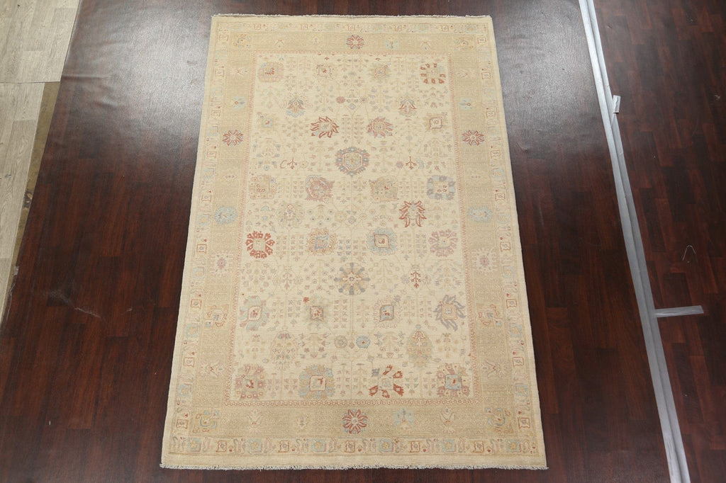 Vegetable Dye Peshawar Chobi Oriental Area Rug 7x10