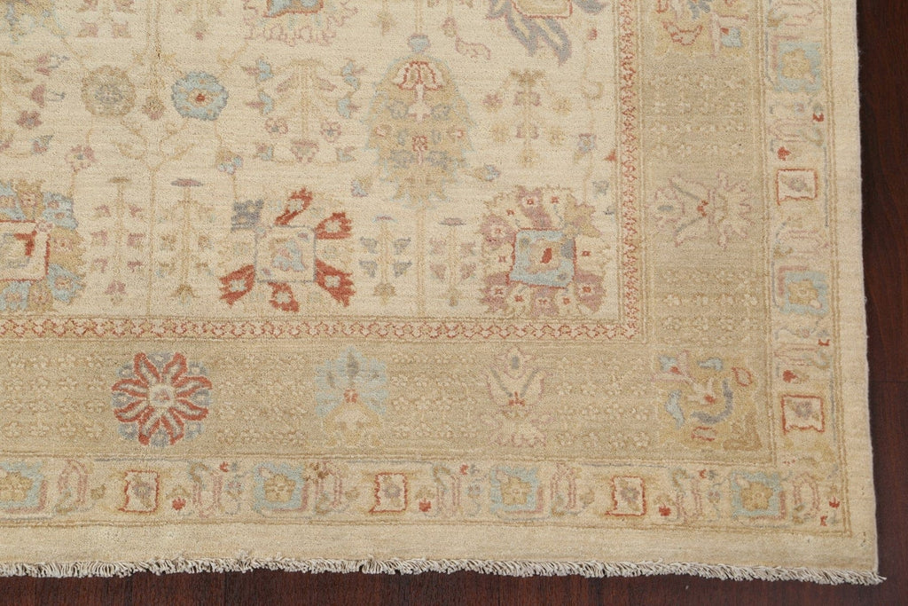 Vegetable Dye Peshawar Chobi Oriental Area Rug 7x10