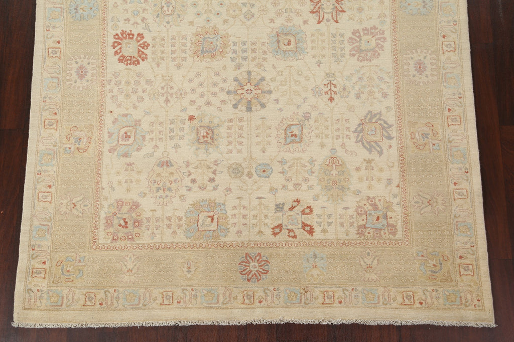 Vegetable Dye Peshawar Chobi Oriental Area Rug 7x10