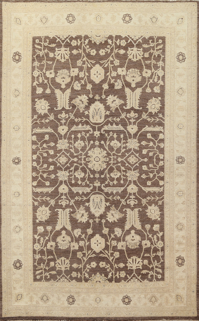 Vegetable Dye Peshawar Chobi Oriental Area Rug 7x10