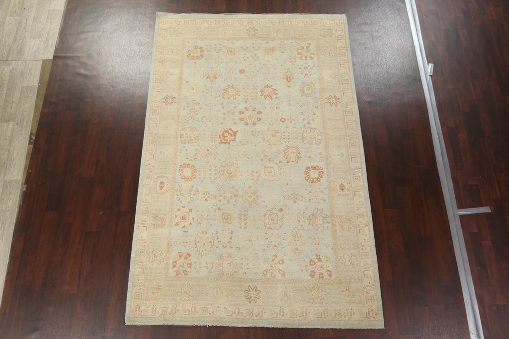 Vegetable Dye Peshawar Chobi Oriental Area Rug 7x10