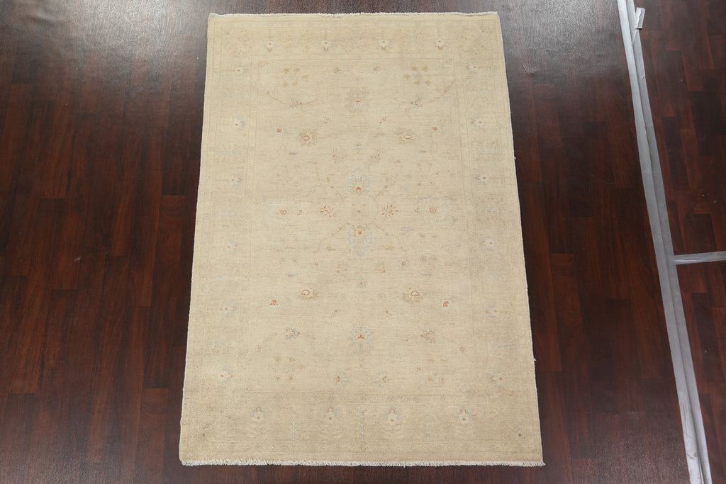 Vegetable Dye Peshawar Chobi Oriental Area Rug 6x8