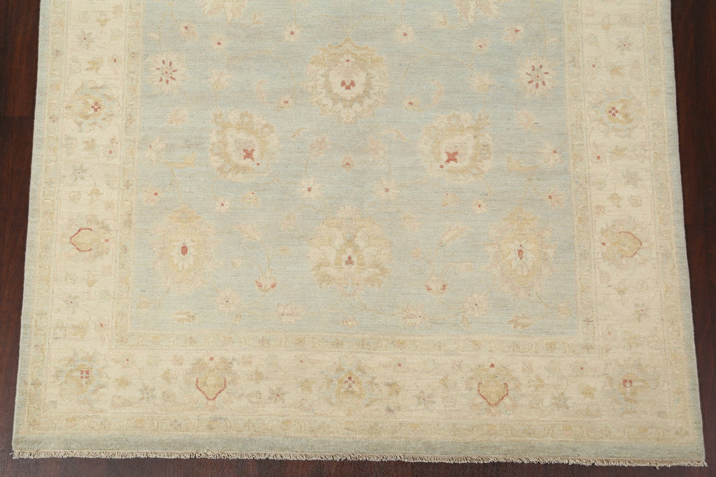 Vegetable Dye Peshawar Chobi Wool Area Rug 6x10