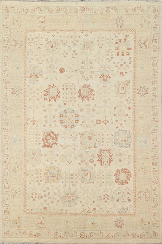 Vegetable Dye Peshawar Chobi Oriental Area Rug 6x8