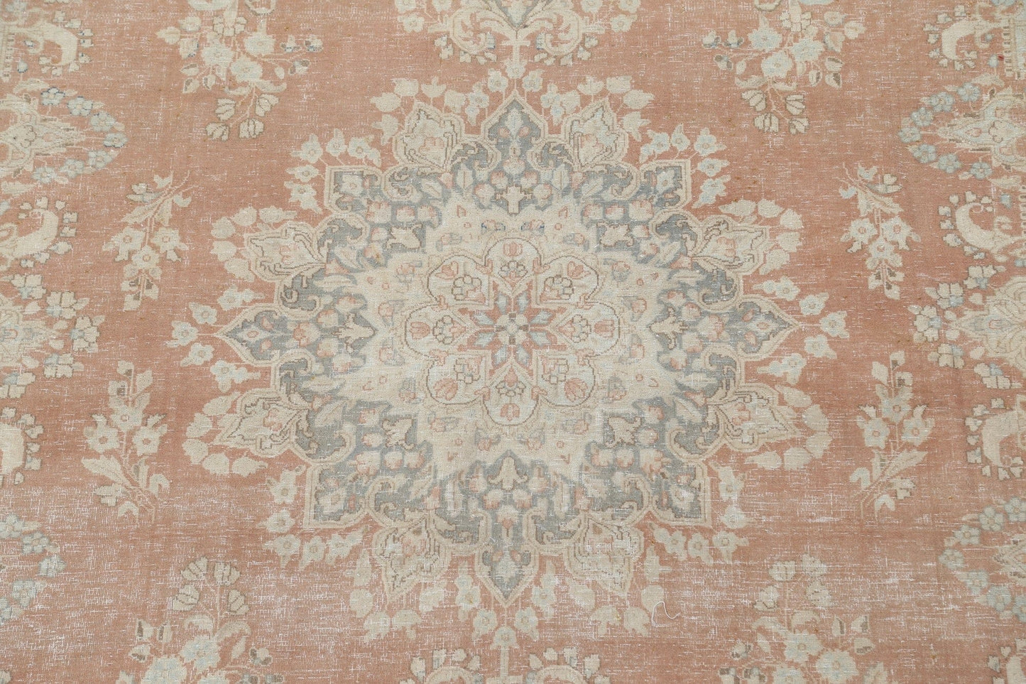 Distressed Kerman Persian Area Rug 10x13