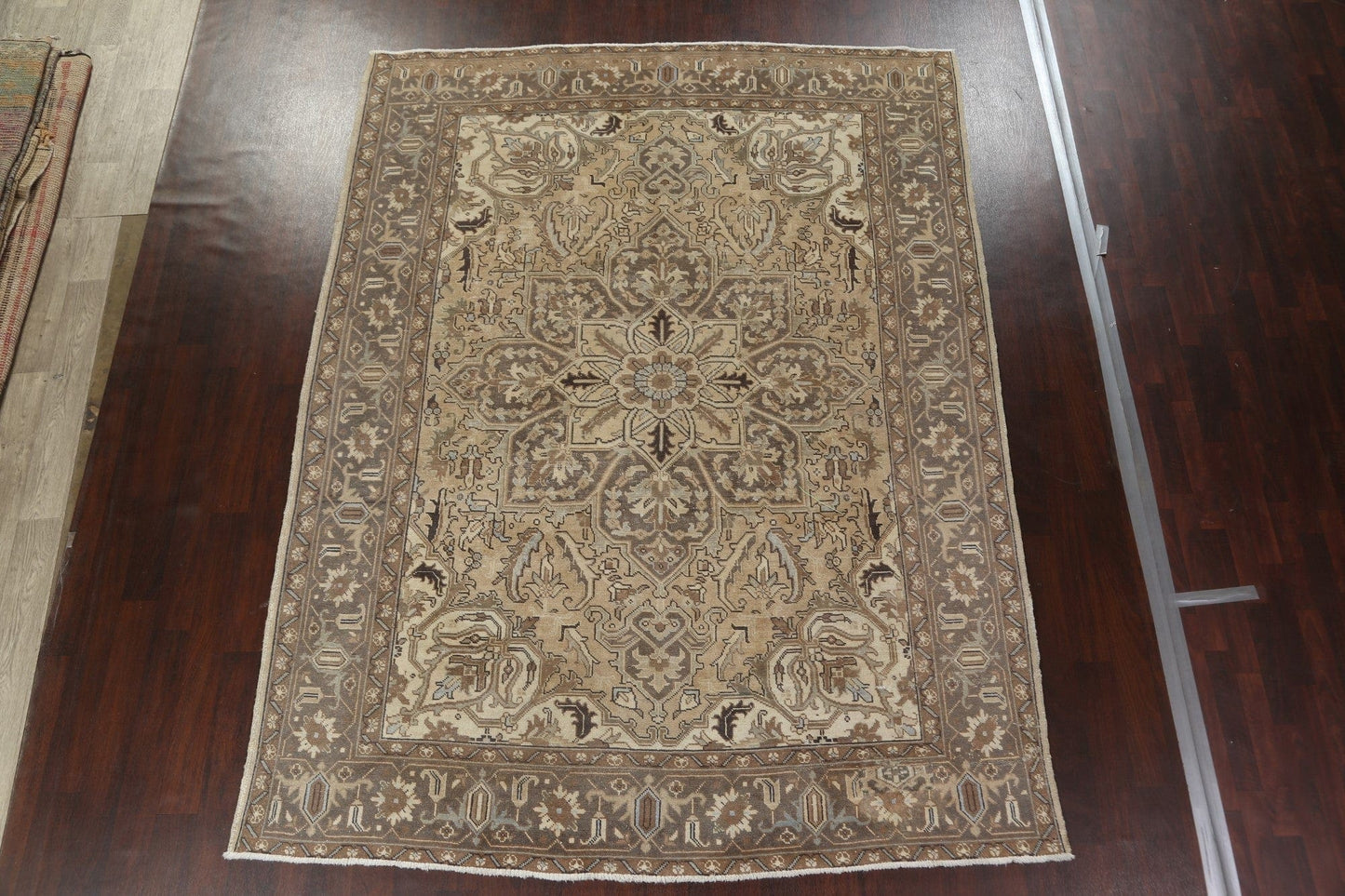 Distressed Heriz Persian Area Rug 8x11