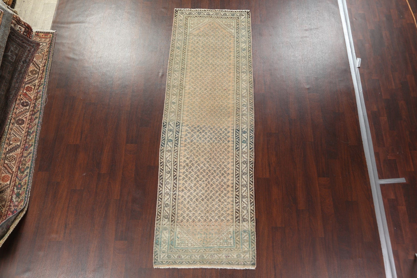 Boteh Botemir Persian Runner Rug 3x10