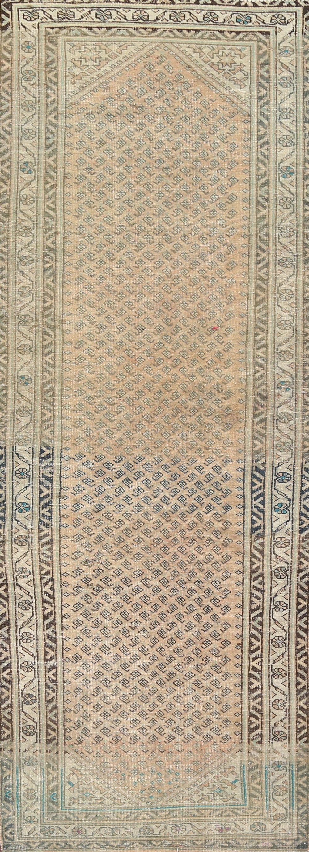 Boteh Botemir Persian Runner Rug 3x10