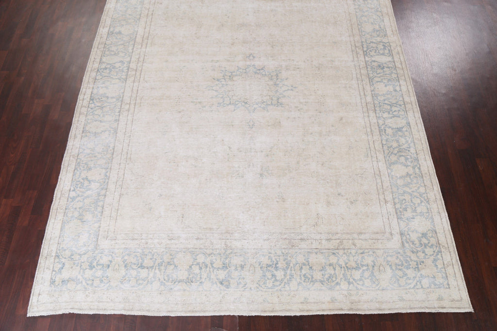 Muted Distressed Kerman Persian Area Rug 10x13