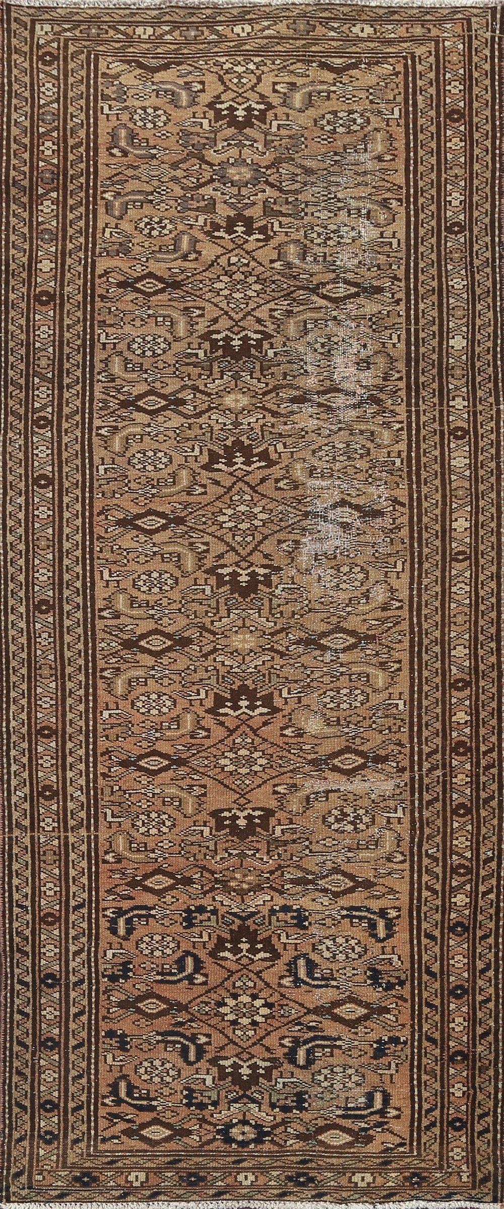 Vintage Malayer Persian Runner Rug 3x10