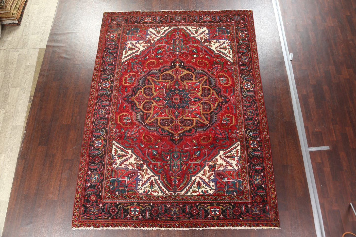 Red Vintage Heriz Persian Area Rug 8x11