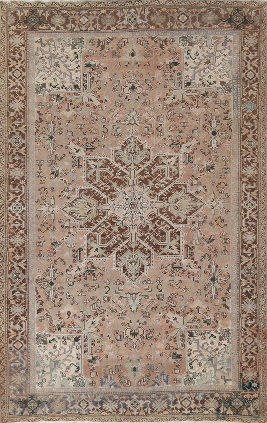 Heriz Persian Area Rug 10x13