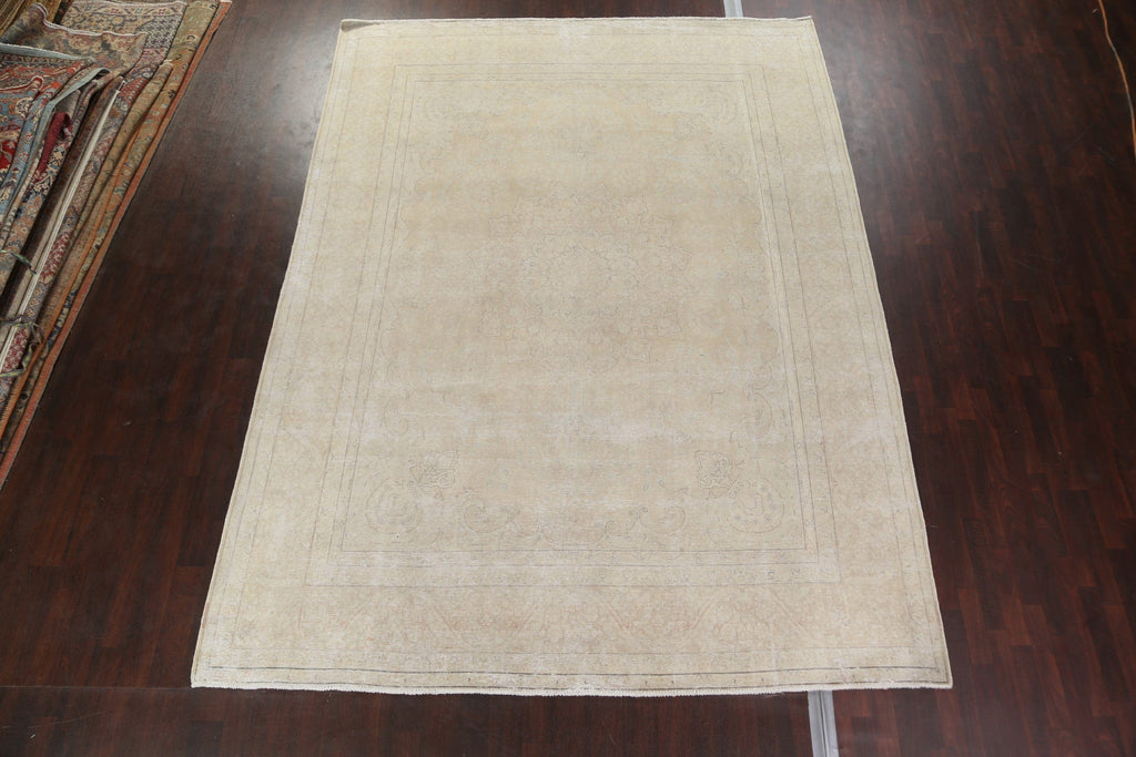 Muted Distressed Kerman Persian Area Rug 10x13