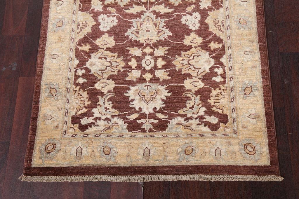 Vegetable Dye Peshawar Wool Runner Rug 3x13