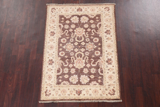 Vegetable Dye Chobi Peshawar Handmade Rug 3x5