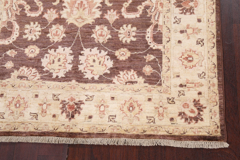 Vegetable Dye Chobi Peshawar Handmade Rug 3x5