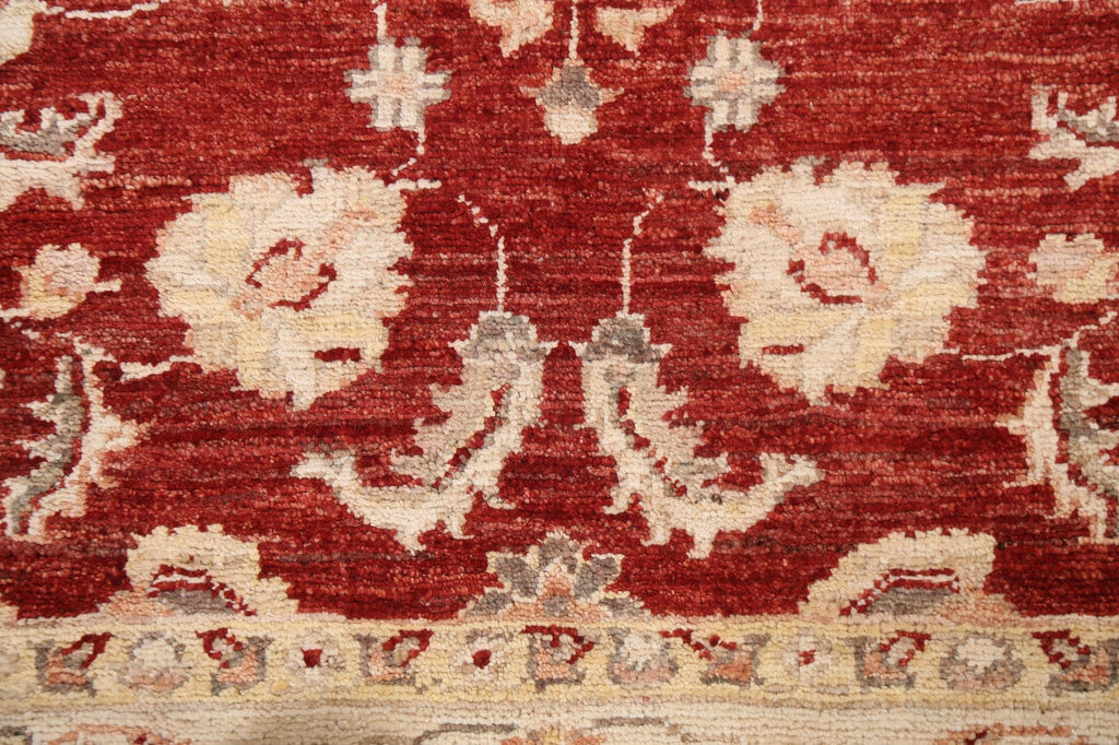 Vegetable Dye Chobi Peshawar Handmade Wool Rug 3x5