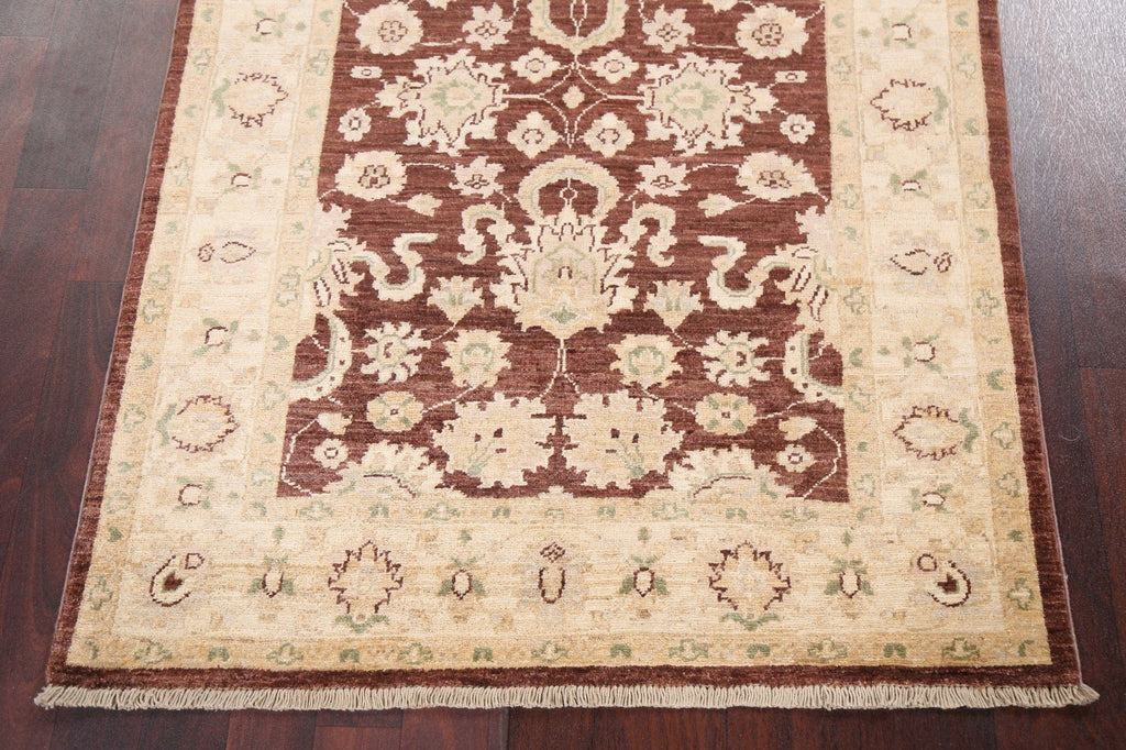 Vegetable Dye Chobi Peshawar Handmade Wool Rug 3x5