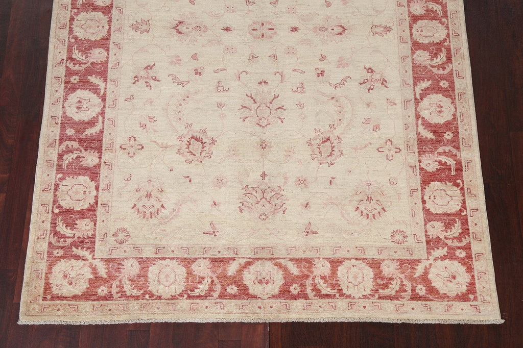 Vegetable Dye Chobi Peshawar Handmade Area Rug 6x8