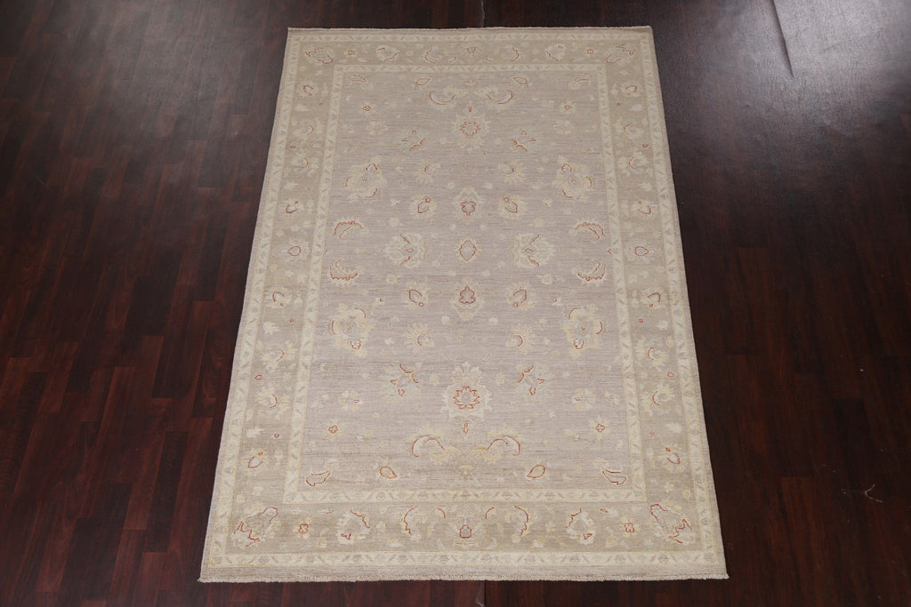 Vegetable Dye Chobi Peshawar Oriental Area Rug 6x9