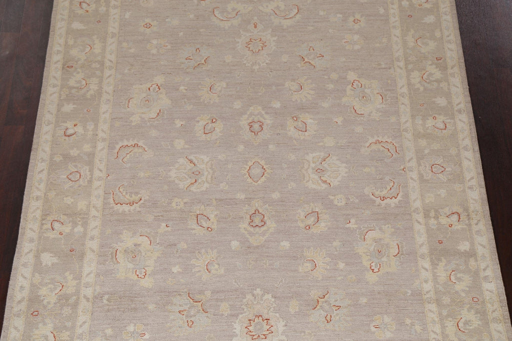 Vegetable Dye Chobi Peshawar Oriental Area Rug 6x9