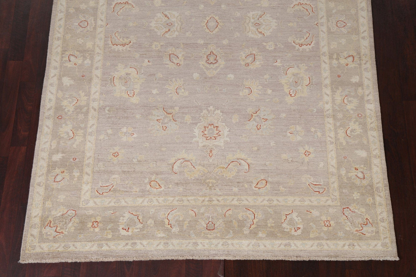 Vegetable Dye Chobi Peshawar Oriental Area Rug 6x9