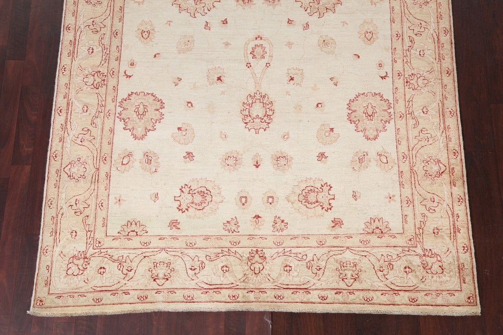 Vegetable Dye Chobi Peshawar Handmade Area Rug 6x9