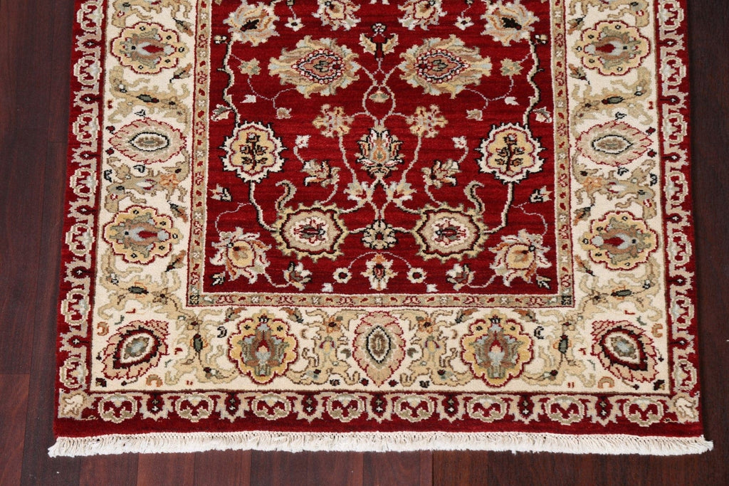 Vegetable Dye Red Agra Wool Handmade Rug 3x5