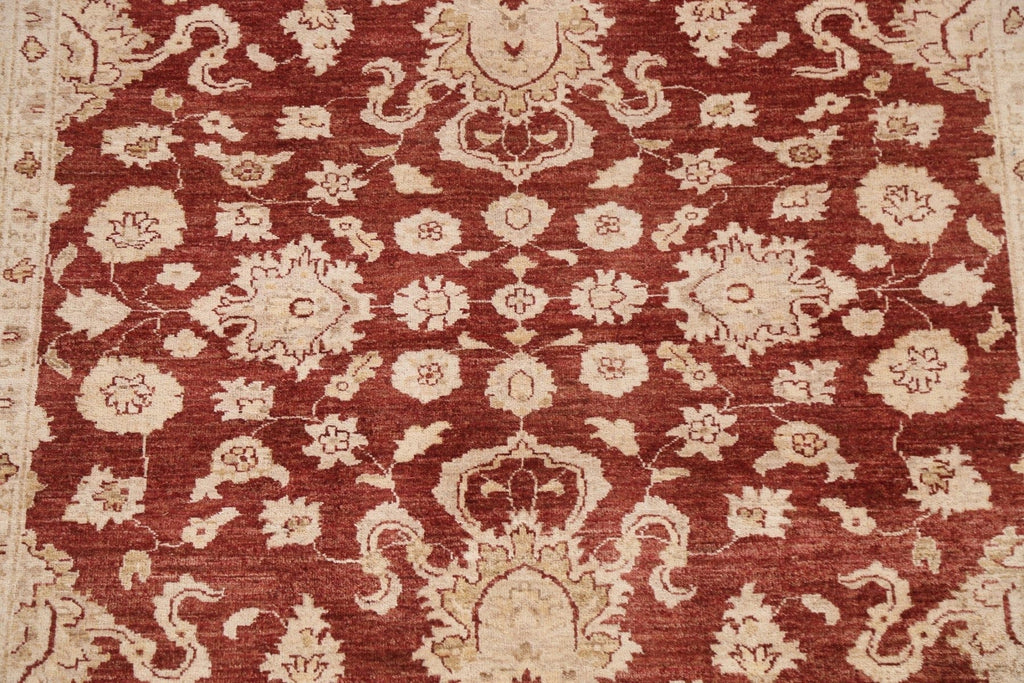 Vegetable Dye Chobi Peshawar Wool Area Rug 6x8