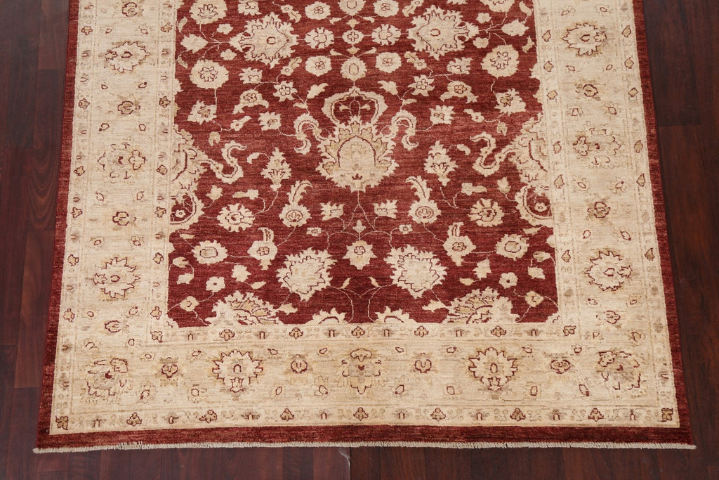 Vegetable Dye Chobi Peshawar Wool Area Rug 6x8