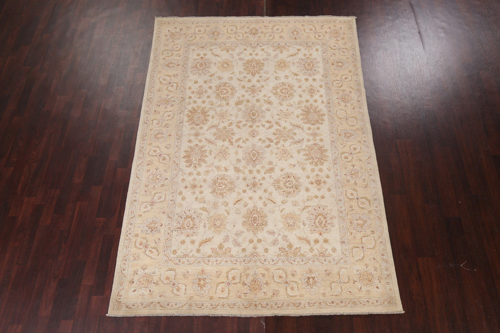 Vegetable Dye Chobi Peshawar Handmade Area Rug 6x9